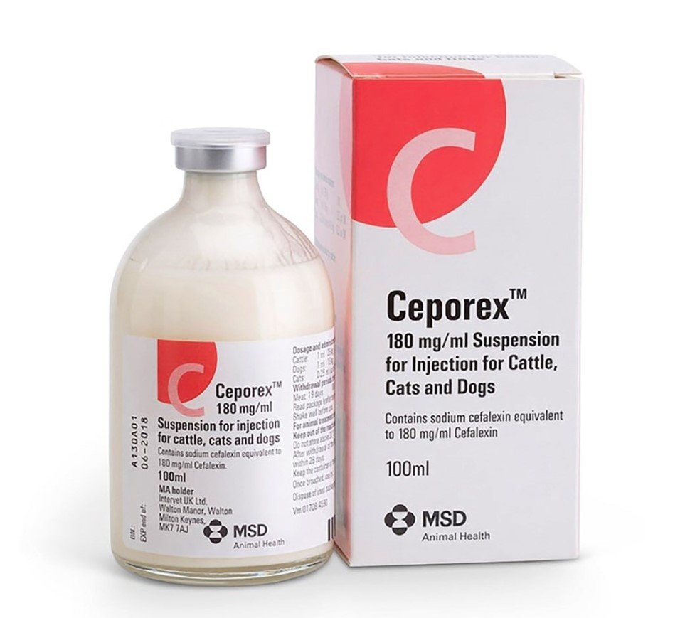 Ceporex Injection