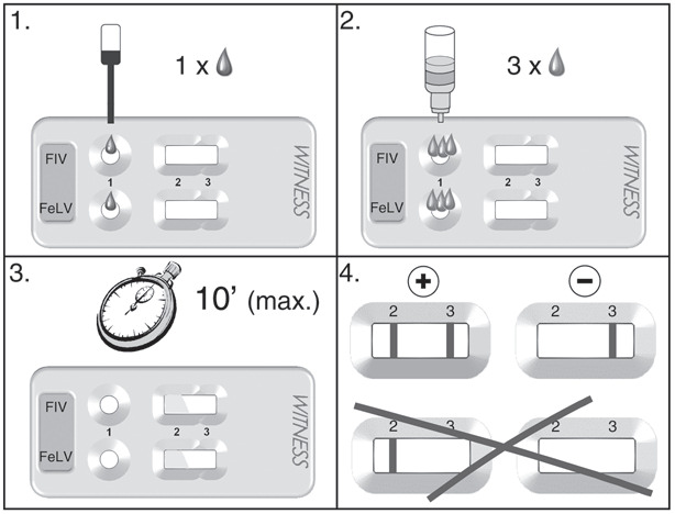 Witness FeLV/FIV testcup
